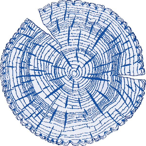 Baumscheibe der Goldberg-Seniorenakademie...