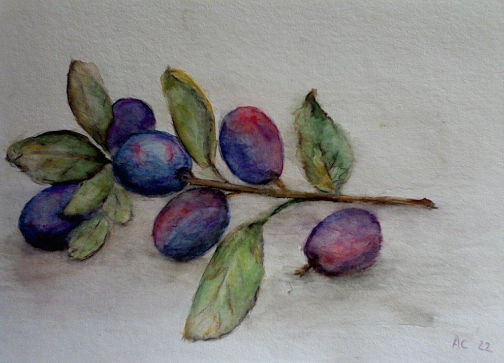 Aquarell